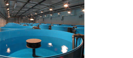 Controlled environment facility, CSAR