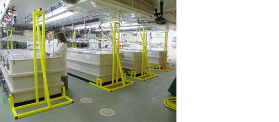 long term ocean acidification experiment